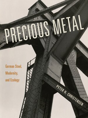 cover image of Precious Metal